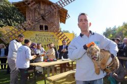 Gaziantep Hayvanat Bahçesi’ndeki dördüz kaplanlar tanıtıldı