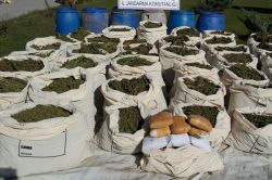 Diyarbakır’da 740 kilo esrar ele geçirildi