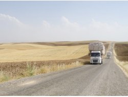 Anızı Saman Yapıp Satıyorlar