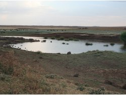 Gözenek (Gırco) Köylüleri Köylerine Köprü İstiyor