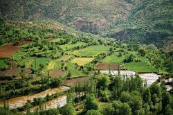 Batman’a meyveciliğin geliştirilmesine hibe desteği