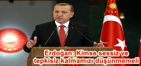 Erdoğan: Kimse sessiz ve tepkisiz kalmamızı düşünmemeli