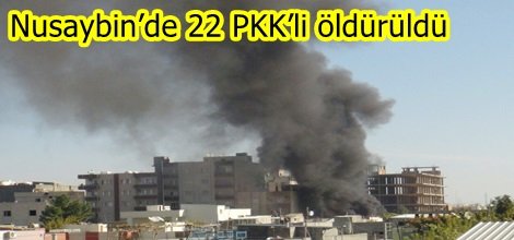 Nusaybin’de 22 PKK’li öldürüldü