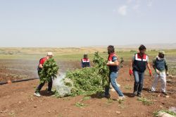 Bir yılda 51 tondan fazla uyuşturucu ele geçirildi