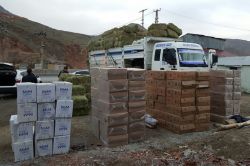 Ot yüklü kamyonda 98 bin paket kaçak sigara ele geçirildi