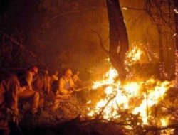 Suriye'nin çıkardığı yangın kontrol altında