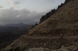 Ayı saldırısına uğrayan bir kişi kayalıktan düştü