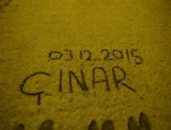 Çınar yoğun kar yağışı altında-video-foto