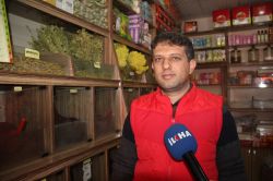 Soğuklara karşı kalkan: Doğal bitkiler