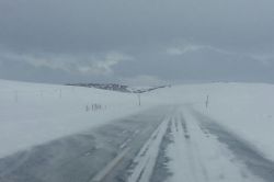 Bingöl’de kar yağışı ve fırtına hayatı olumsuz etkiliyor