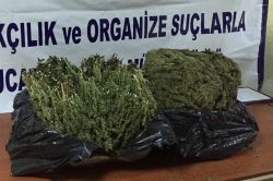Batman’da 20 kilo esrar ele geçirildi