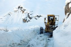 Batman’da kapanan köy yolları açıldı