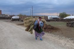 Azmiyle gençlere ders veren Çınarlı yaşlı kadın