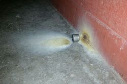 Polisin attığı gaz kapsülü bir eve girdi