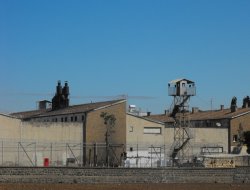 Cezaevlerinde bulunan kişi sayısı yüzde 10 arttı