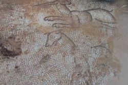 Siverek’te bulunan tarihi mozaikler müzede sergilenecek