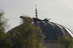 Nusaybin’de camiye roketatarlı saldırı