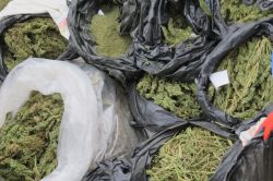 Diyarbakır’da uyuşturucu tacirlerine baskın