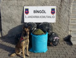 Bingöl'de uyuşturucu madde ele geçirildi