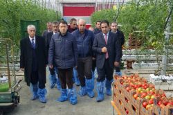 ‘Ağrı ekonomik alanda ve istihdamda kalkınacak’