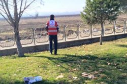 Aç kalan hayvanlar için yem bırakıldı