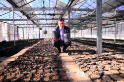 Van YYÜ’de 21 bin ceviz tohumu ekildi