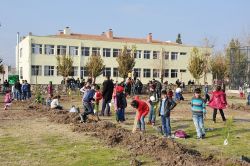 Ortaokulda fidan dikim etkinliği yapıldı