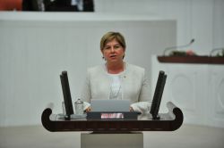 Narenciye üreticisinin sorunları TBMM’ye taşındı