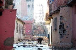 Sur’da 17 günlük bilanço