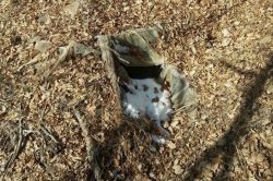 Tunceli’nin Pülümür ilçesinde pkkye ait 3 sığınak bulundu