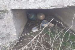 Yola döşenen patlayıcılar imha edildi