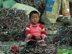 181 Zarok Hatin Xelas Kirin