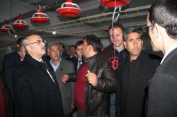 Bingöl’de 9 adet tavuk yetiştiriciliği tesisi kuruluyor