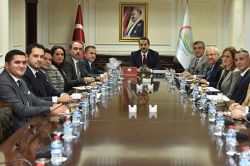 Turunçgil üreticileri: İç tüketim teşvik edilmeli