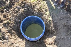 Bingöl’de 57 bin TL değerinde esrar ele geçirildi