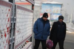 Ağrı'da sisli ve soğuk hava