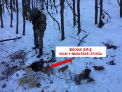 Cizre, Silopi ve Sur'da 13 PKK'li öldürüldü