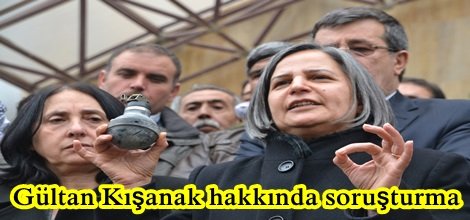 Gültan Kışanak hakkında soruşturma