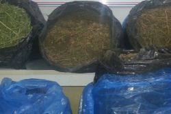 Diyarbakır’da 42 kilo esrar ele geçirildi