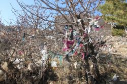 “Allah’tan başka kimseden medet beklenmez”