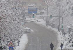Mardin’de hayat durdu!