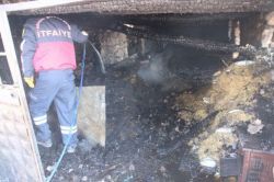 Ahırda çıkan yangında hayvanlar telef oldu