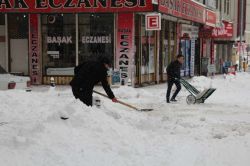 Van'da kar esareti sürüyor