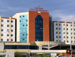 Adana'da domuz gribi şüphesiyle tedavi gören 3 kişi öldü