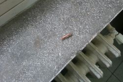 Diyarbakır'da bir asker hayatını kaybetti