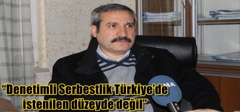 “Denetimli Serbestlik Türkiye’de istenilen düzeyde değil”