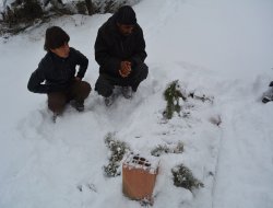 Bebekê malbata Sûriyeyî ji sermayê wek qefilî mir
