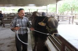 Şap hastalığına karşı alarma geçildi