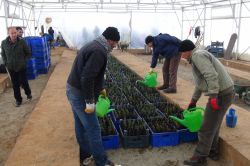 Bingöl’deki geçici işçiler sürelerinin uzatılmasını istedi