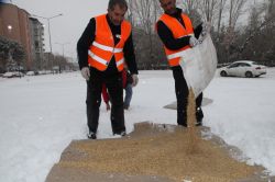Elazığ’da sokak hayvanları unutulmadı